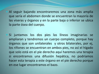  Al seguir bajando encontraremos una zona más amplia
que sería el abdomen donde se encuentran la mayoría de
las viseras y órganos y en la parte baja o inferior se ubica
la parte ósea del cuerpo.
 Si juntamos los dos pies las líneas imaginarias se
ampliaran y tendremos un cuerpo completo, porque hay
órganos que son unilaterales y otros bilaterales, por ej,
los riñones se encuentran en ambos pies, no así el hígado
que solo está en el píe derecho aquí haremos una terapia
si encontramos una difusión hepática, no podríamos
hacer esta terapia a este órgano en el píe derecho porque
en ese lugar encontramos el bazo.
 