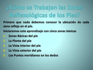 Primero que nada debemos conocer la ubicación de cada
zona refleja en el píe.
Iniciaremos este aprendizaje con cinco zonas básicas
1. Zonas Básicas del píe
2. La Planta del píe
3. La Vista interior del píe
4. La Vista exterior del píe
5. Los Puntos meridianos en los dedos
 