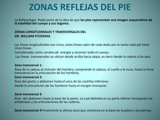 ZONAS REFLEJAS DEL PIE
 La Reflexología Podal parte de la idea de que los pies representan una imagen esquemática de
la totalidad del cuerpo y sus órganos.

 ZONAS LONGITUDINALES Y TRANSVERSALES DEL
 DR. WILLIAM FITZGERAL

 Las líneas longitudinales son cinco, estas líneas salen de cada dedo por lo tanto cada píe tiene
cinco líneas.
 Consideradas como canales de energía y recorren todo el cuerpo.
 Las líneas transversales se ubican desde arriba hacia abajo, es decir desde la cabeza a los pies.

 Zona transversal 1-
 Área de la cabeza al cinturón del hombro, comprende la cabeza, el cuello y la nuca, hasta la línea
transversal en la articulación de los hombros.
 Zona transversal 2-
 Área del pecho y abdomen hasta el arco de las costillas inferiores.
 Desde la articulación de los hombros hasta el margen bronquial.

 Zona transversal 3-
 Área del abdomen hasta la base de la pelvis. La cual delimita en su parte inferior incluyendo los
antebrazos y las articulaciones de las caderas.
 Zona transversal 4-Finalmente la última zona que comienza en la base de la pelvis y las piernas.
 