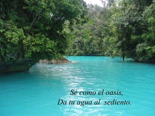 Sé como el oasis, Da tu agua al sediento.