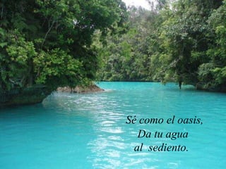 Sé como el oasis, Da tu agua al  sediento.  