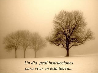 Un día pedí instrucciones
para vivir en esta tierra...