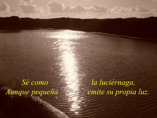 Sé como       la luciérnaga,
Aunque pequeña   emite su propia luz.
 