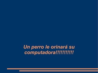 Un perro le orinará su computadora!!!!!!!!!!! 