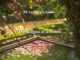 Sé como el  oasis.  Da tu agua al sediento 