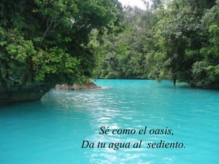 Sé como el oasis, Da tu agua al  sediento.  