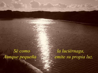 Sé como  la luciérnaga, Aunque pequeña  emite su propia luz.   