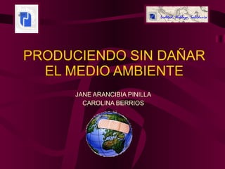 PRODUCIENDO SIN DAÑAR EL MEDIO AMBIENTE JANE ARANCIBIA PINILLA CAROLINA BERRIOS 
