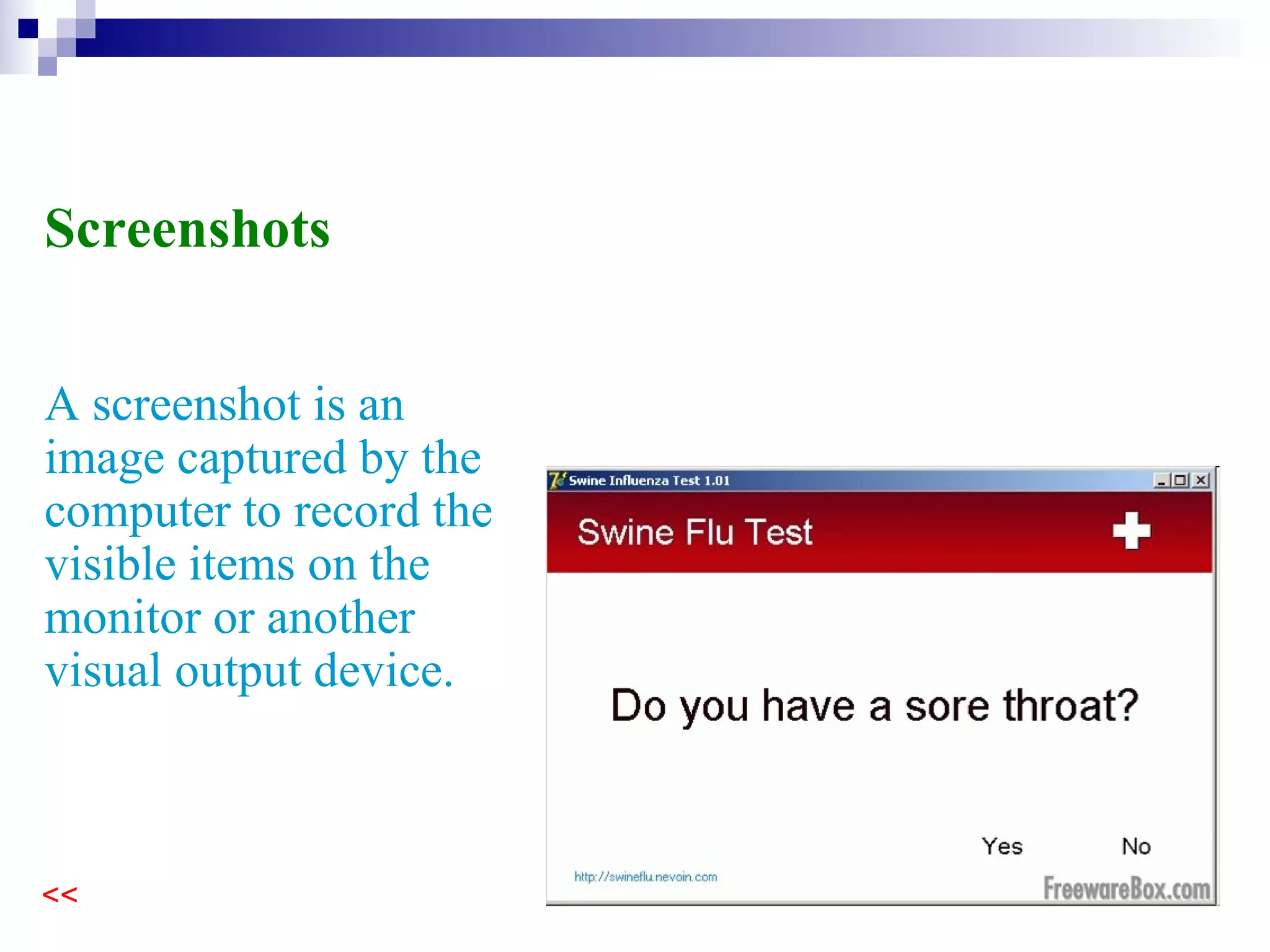 Screenshots An image captured by the computer to record the visible items on the monitor or another visual output device. 