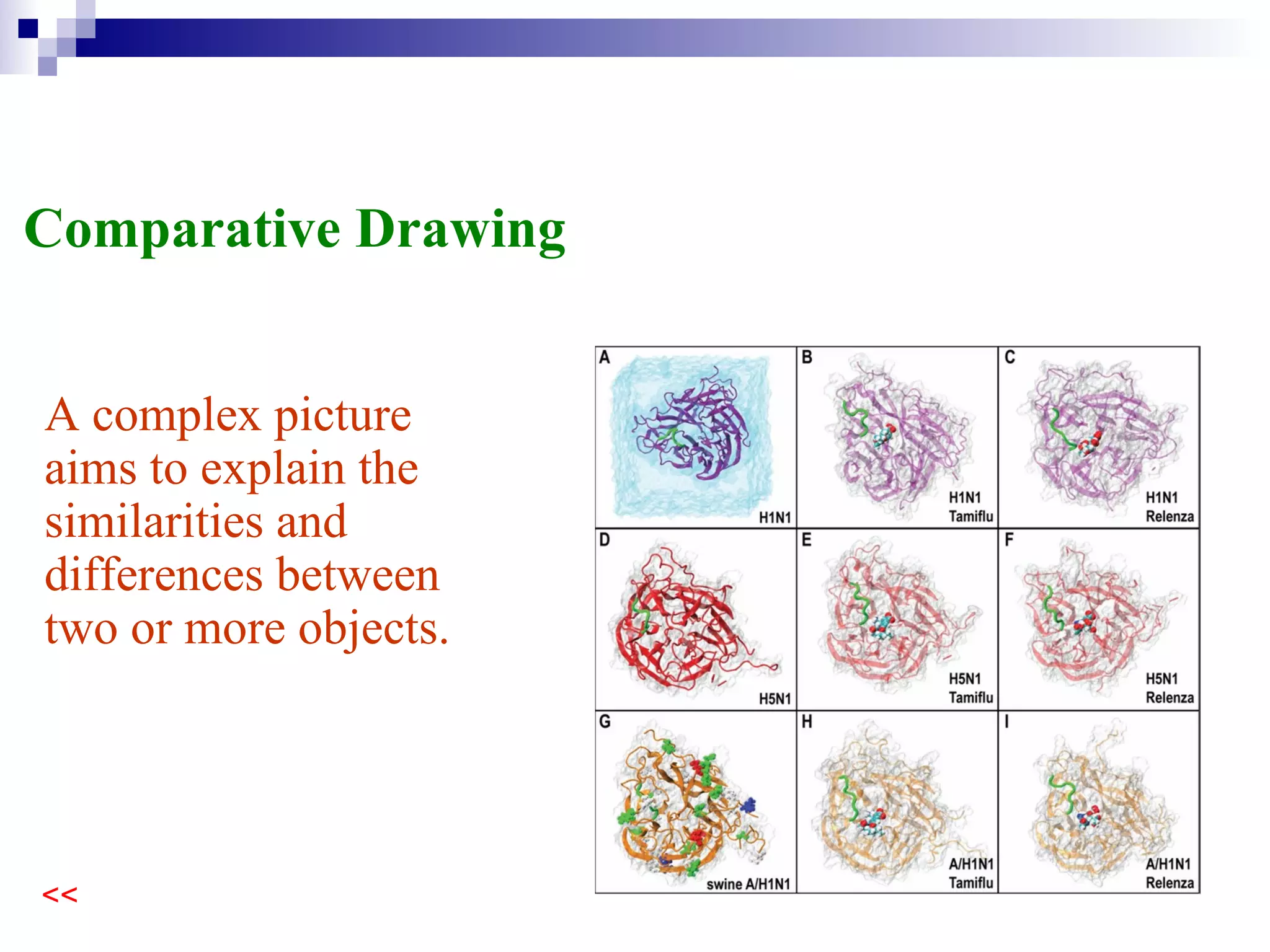 A complex picture aims to explain the similarities and differences between two or more objects. Comparative Drawing 