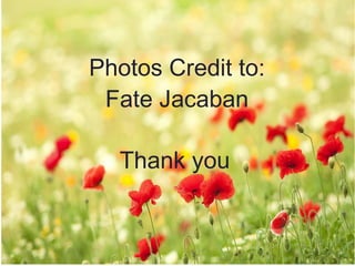 Thank you
Photos Credit to:
Fate Jacaban
 