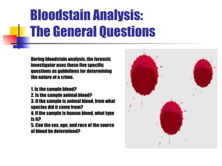 Bloodstain Analysis:  The General Questions During bloodstain analysis, the forensic  investigator uses these five specific  questions as guidelines for determining   the nature of a crime. 1.  Is the sample blood? 2.   Is the sample animal blood? 3. If  the sample is  animal blood, from what  species  did it come from ? 4. If  the sample is  human blood, what type is it ? 5. Can the sex, age, and race of the source  of blood be determined? 
