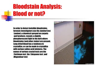 Bloodstain Analysis:  Blood or not?   In order to detect invisible bloodstains,  forensic investigators use the  luminol test . Luminol, a chemical sprayed on carpets and furniture, reveals a slightly   phosphorescent light in the dark where  bloodstains (and other stains) are present.  Long-dried blood has a tendency to   crystallize, or can be made to crystallize  with various saline-acid mixtures. The  names of various crystal tests are the  Teichman test   , the  Takayama test   , and  Wagenhaar test .   