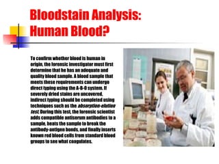 Bloodstain Analysis: Human Blood? To confirm whether blood is human in   origin, the forensic investigator must first  determine that he has an adequate and  quality blood sample. A blood sample that  meets these requirements can undergo  direct typing using the A-B-O system. If  severely dried stains are uncovered,  indirect typing should be completed using  techniques such as the  absorption-elution test . During this test, the forensic scientist  adds compatible antiserum antibodies to a  sample, heats the sample to break the  antibody-antigen bonds, and finally inserts  known red blood cells from standard blood  groups to see what coagulates. 