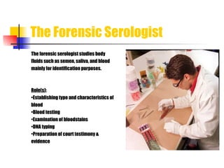The Forensic Serologist The forensic serologist studies body  fluids such as semen, saliva, and blood  mainly for identification purposes. Role(s) :  • Establishing type and characteristics of  blood • Blood testing • Examination of bloodstains • DNA typing • Preparation of court testimony &  evidence 