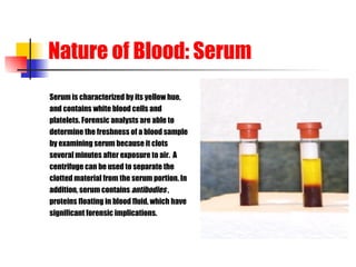 Nature of Blood: Serum Serum is characterized by its yellow hue,  and contains white blood cells and  platelets. Forensic analysts are able to determine the freshness of a blood sample  by examining serum because it clots several minutes after exposure to air.  A  centrifuge can be used to separate the  clotted material from the serum portion. In  addition, serum contains  antibodies  ,  proteins floating in blood fluid, which have significant forensic implications. 