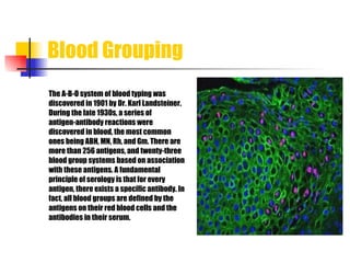 Blood Grouping The A-B-O system of blood typing was  discovered in 1901 by Dr. Karl Landsteiner.  During the late 1930s, a series of  antigen-antibody reactions were  discovered in blood, the most common  ones being ABH, MN, Rh, and Gm. There are  more than 256 antigens, and twenty-three blood group systems based on association with these antigens. A fundamental principle of serology is that for every  antigen, there exists a specific antibody. In  fact, all blood groups are defined by the  antigens on their red blood cells and  the antibodies in their serum. 