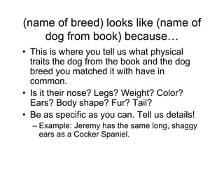 (name of breed) looks like (name of
    dog from book) because…
• This is where you tell us what physical
  traits the dog from the book and the dog
  breed you matched it with have in
  common.
• Is it their nose? Legs? Weight? Color?
  Ears? Body shape? Fur? Tail?
• Be as specific as you can. Tell us details!
  – Example: Jeremy has the same long, shaggy
    ears as a Cocker Spaniel.
 