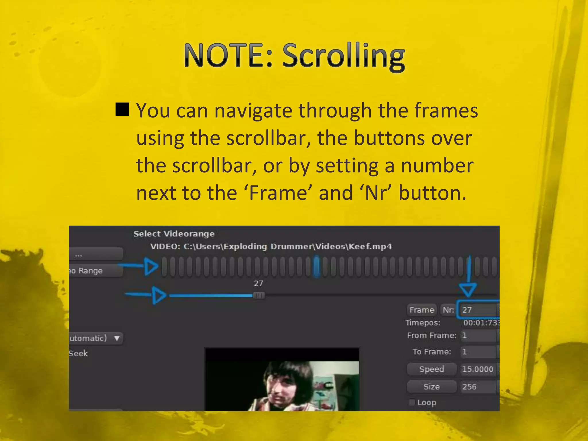 NOTE: ScrollingYou can navigate through the frames using the scrollbar, the buttons over the scrollbar, or by setting a number next to the ‘Frame’ and ‘Nr’ button.