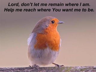 Lord, don’t let me remain where I am.
Help me reach where You want me to be.
 