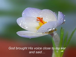 God brought His voice close to my ear
            and said…
 