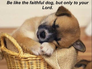 Be like the faithful dog, but only to your
                   Lord.
 
