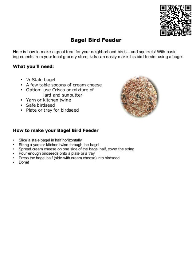 Instructions Bagel Bird Feeder