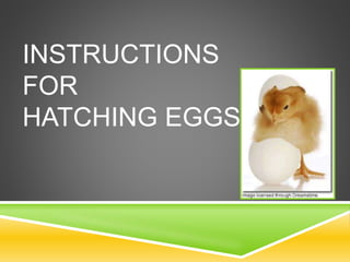 INSTRUCTIONS
FOR
HATCHING EGGS
 