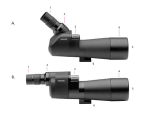 1
2
3
4
1
A.
B.
2
3 4
5
6
6
5
 