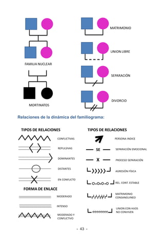 - 43 -
Relaciones de la dinámica del familiograma:
 