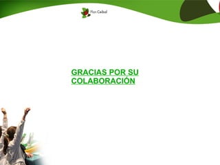 GRACIAS POR SU
COLABORACIÓN
 