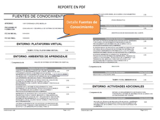 REPORTE EN PDF
Detalle Fuentes de
Conocimiento
 