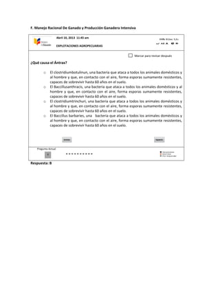 F. Manejo Racional De Ganado y Producción Ganadera Intensiva
¿Qué causa el Ántrax?
o El clostridiumbotulinun, una bacteria que ataca a todos los animales domésticos y
al hombre y que, en contacto con el aire, forma esporas sumamente resistentes,
capaces de sobrevivir hasta 60 años en el suelo.
o El Baccillusanthracis, una bacteria que ataca a todos los animales domésticos y al
hombre y que, en contacto con el aire, forma esporas sumamente resistentes,
capaces de sobrevivir hasta 60 años en el suelo.
o El clostridiumtrinchuri, una bacteria que ataca a todos los animales domésticos y
al hombre y que, en contacto con el aire, forma esporas sumamente resistentes,
capaces de sobrevivir hasta 60 años en el suelo.
o El Baccillus barbaries, una bacteria que ataca a todos los animales domésticos y
al hombre y que, en contacto con el aire, forma esporas sumamente resistentes,
capaces de sobrevivir hasta 60 años en el suelo.
Pregunta Actual
Respuesta: B
0
Marcar para revisar después
Abril 10, 2013 11:45 am
EXPLOTACIONES AGROPECUARIAS
 