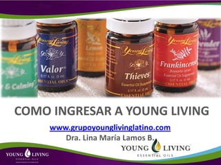 COMO INGRESAR A YOUNG LIVING
     www.grupoyounglivinglatino.com
        Dra. Lina María Lamos B.
 