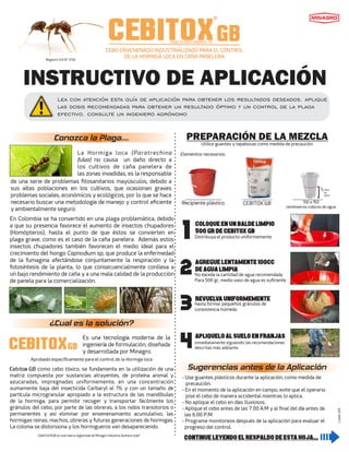 INSTRUCTIVO DE APLICACIÓN
CEBO ENVENENADO INDUSTRIALIZADO PARA EL CONTROL
DE LA HORMIGA LOCA EN CAÑA PANELERA
Lea con atención esta guía de aplicación para obtener los resultados deseados. aplique
las dosis recomendadas para obtener un resultado óptimo y un control de la plaga
efectivo. consulte un ingeniero agrónomo
Conozca la Plaga....
La Hormiga loca (Paratrechina
fulva) no causa un daño directo a
los cultivos de caña panelera de
las zonas invadidas, es la responsable
de una serie de problemas tosanitarios mayúsculos, debido a
sus altas poblaciones en los cultivos, que ocasionan graves
problemas sociales, económicos y ecológicos, por lo que se hace
necesario buscar una metodología de manejo y control eciente
y ambientalmente seguro.
En Colombia se ha convertido en una plaga problemática, debido
a que su presencia favorece el aumento de insectos chupadores
(Homópteros), hasta el punto de que éstos se convierten en
plaga grave, como es el caso de la caña panelera. Además estos
insectos chupadores también favorecen el medio ideal para el
crecimiento del hongo Capnodium sp, que produce la enfermedad
de la fumagina afectándose conjuntamente la respiración y la
fotosíntesis de la planta, lo que consecuencialmente conlleva a
un bajo rendimiento de caña y a una mala calidad de la producción
de panela para la comercialización.
¿Cual es la solución?
Es una tecnología moderna de la
ingeniería de formulación, diseñada
y desarrollada por Minagro.
Aprobado especícamente para el control de la Hormiga loca
Cebitox GB como cebo tóxico, se fundamenta en la utilización de una
matriz compuesta por sustancias atrayentes, de proteína animal y
azucaradas, impregnadas uniformemente, en una concentración
sumamente baja del insecticida Carbaryl al 1% y con un tamaño de
partícula microgranular apropiado a la estructura de las mandíbulas
de la hormiga, para permitir recoger y transportar fácilmente los
gránulos del cebo, por parte de las obreras, a los nidos transitorios o
permanentes y así eliminar por envenenamiento acumulativo, las
hormigas reinas, machos, obreras y futuras generaciones de hormigas.
La colonia se distorsiona y los hormigueros van desapareciendo.
PREPARACIÓN DE LA MEZCLA
Utilice guantes y tapabocas como medida de precaución
Elementos necesarios:
Recipiente plástico CEBITOX GB
®
100 a 150
centímetros cúbicos de agua
1/2 Vaso
de
Agua
1 Coloqueenunbaldelimpio
500grdeCebitoxGB
2agreguelentamente100cc
deagualimpia
3REVUELVAUNIFORMEMENTE
hasta formar pequeños gránulos de
consistencia húmeda
No exceda la cantidad de agua recomendada
Para 500 gr, medio vaso de agua es suciente
4Apliqueloalsueloenfranjas
inmediatamente siguiendo las recomendaciones
descritas más adelante.
Distribuya el producto uniformemente
Sugerencias antes de la Aplicación
- Use guantes plásticos durante la aplicación, como medida de
precaución.
- En el momento de la aplicación en campo, evite que el operario
pise el cebo de manera accidental mientras lo aplica.
- No aplique el cebo en días lluviosos.
- Aplique el cebo antes de las 7:00 A.M y al nal del día después de
las 4:00 P.M
- Programe monitoreos después de la aplicación para evaluar el
progreso del control.
continueleyendoelrespaldodeestahoja...
Registro ICA N° 2142
CEBITOXGB
®
INSECTICIDA CARBARYL 1%
CEBITOXGB
Cebitox GB
CEBITOX®GB es una marca registrada de Minagro Industria Química Ltda*
]
CE-004-1215
 