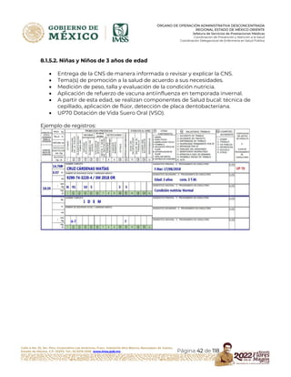 Hoja Rais INSTRUCTIVO LLENADO FORMATO RAIS MED PREV MEX OTE 2022.pdf