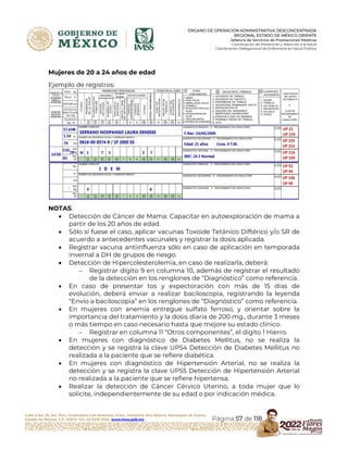 Hoja Rais INSTRUCTIVO LLENADO FORMATO RAIS MED PRE | PDF