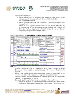 Hoja Rais INSTRUCTIVO LLENADO FORMATO RAIS MED PRE | PDF
