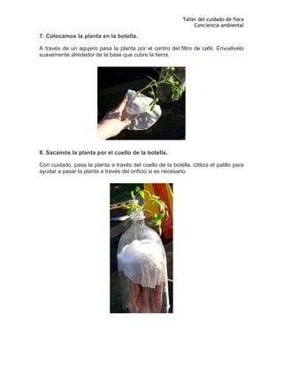 Taller del cuidado de flora
Conciencia ambiental
7. Colocamos la planta en la botella.
A través de un agujero pasa la planta por el centro del filtro de café. Envuélvelo
suavemente alrededor de la base que cubre la tierra.
8. Sacamos la planta por el cuello de la botella.
Con cuidado, pasa la planta a través del cuello de la botella. Utiliza el palillo para
ayudar a pasar la planta a través del orificio si es necesario.
 