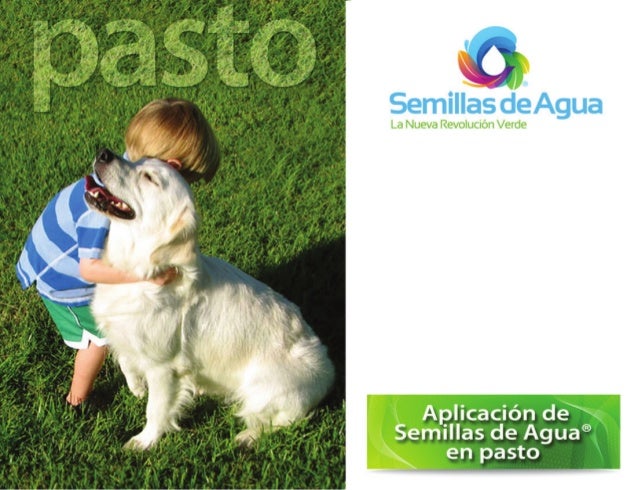 SEMILLAS DE AGUA EN CESPED