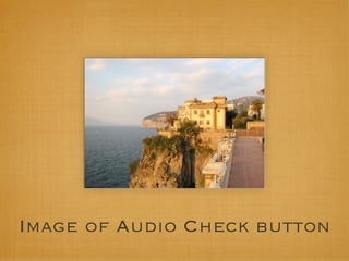Image of Audio Check button
 