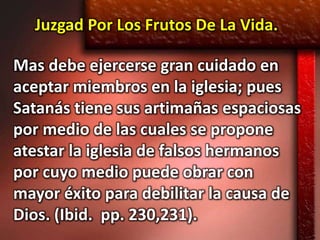 Juzgad Por Los Frutos De La Vida.

Mas debe ejercerse gran cuidado en
aceptar miembros en la iglesia; pues
Satanás tiene sus artimañas espaciosas
por medio de las cuales se propone
atestar la iglesia de falsos hermanos
por cuyo medio puede obrar con
mayor éxito para debilitar la causa de
Dios. (Ibid. pp. 230,231).
 