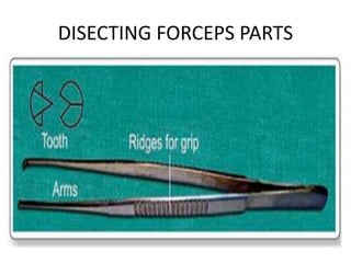 DISECTING FORCEPS PARTS
 