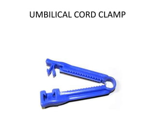 UMBILICAL CORD CLAMP
 
