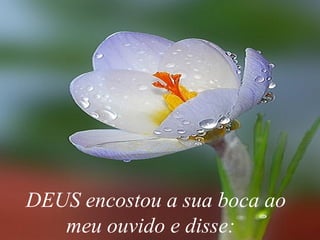 DEUS encostou a sua boca ao
   meu ouvido e disse:
 