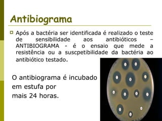 Antibiograma


Após a bactéria ser identificada é realizado o teste
de
sensibilidade
aos
antibióticos
–
ANTIBIOGRAMA - é o ensaio que mede a
resistência ou a suscpetibilidade da bactéria ao
antibiótico testado.

O antibiograma é incubado
em estufa por
mais 24 horas.

 
