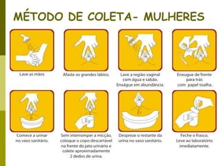 MÉTODO DE COLETA- MULHERES

 