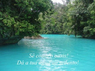 Sê como o oasis! Dá a tua água ao sedento! 