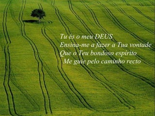 Tu és o meu DEUS Ensina-me a fazer a Tua vontade Que o Teu bondoso espírito Me guie pelo caminho recto 