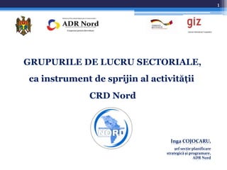 1

GRUPURILE DE LUCRU SECTORIALE,
ca instrument de sprijin al activităţii

CRD Nord

Inga COJOCARU,
şef secţie planificare
strategică şi programare,
ADR Nord

 